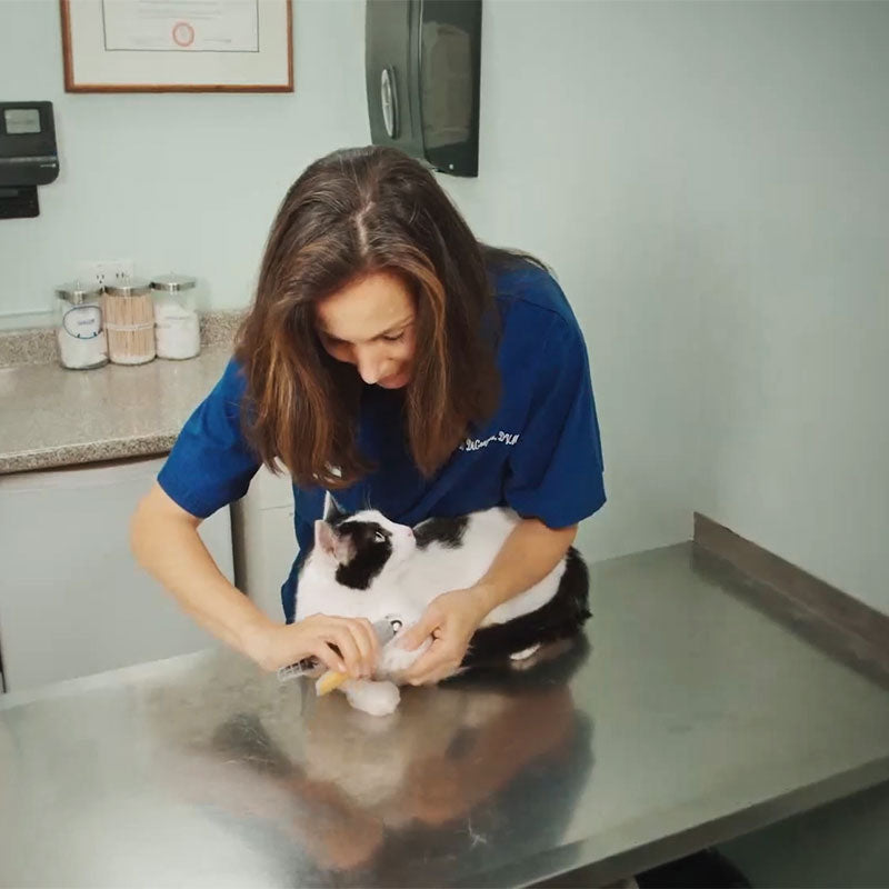 Easy Clip Pet Nail Trimmers with Quick Sensors