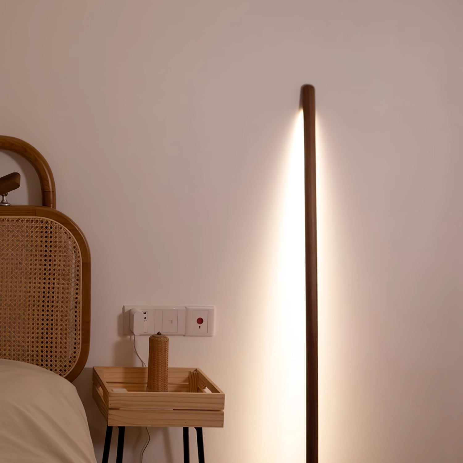 Wall Assist Floor Lamp 7