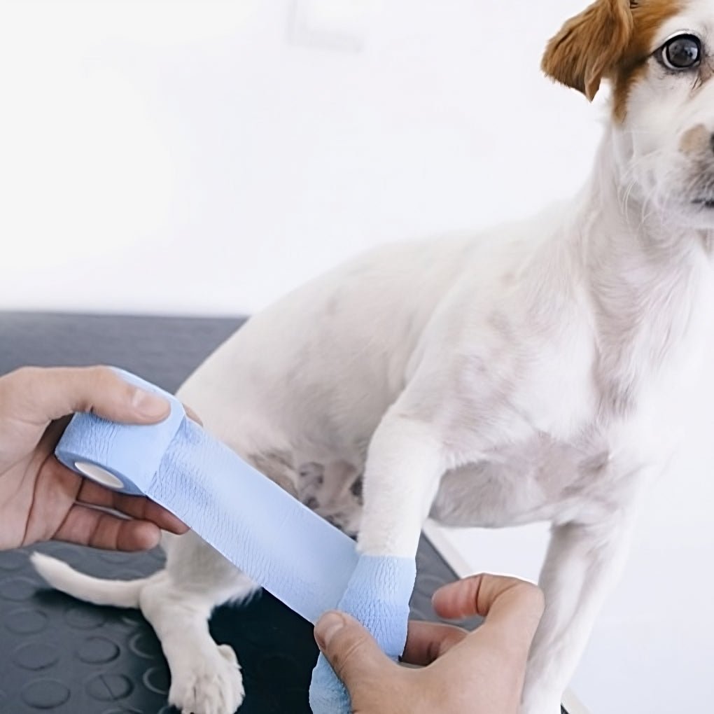 Water-Resistant Dog Shoes - Breathable Bandage Boots for Paw Protection - 2 Pack, Ideal for Outdoor Use 3
