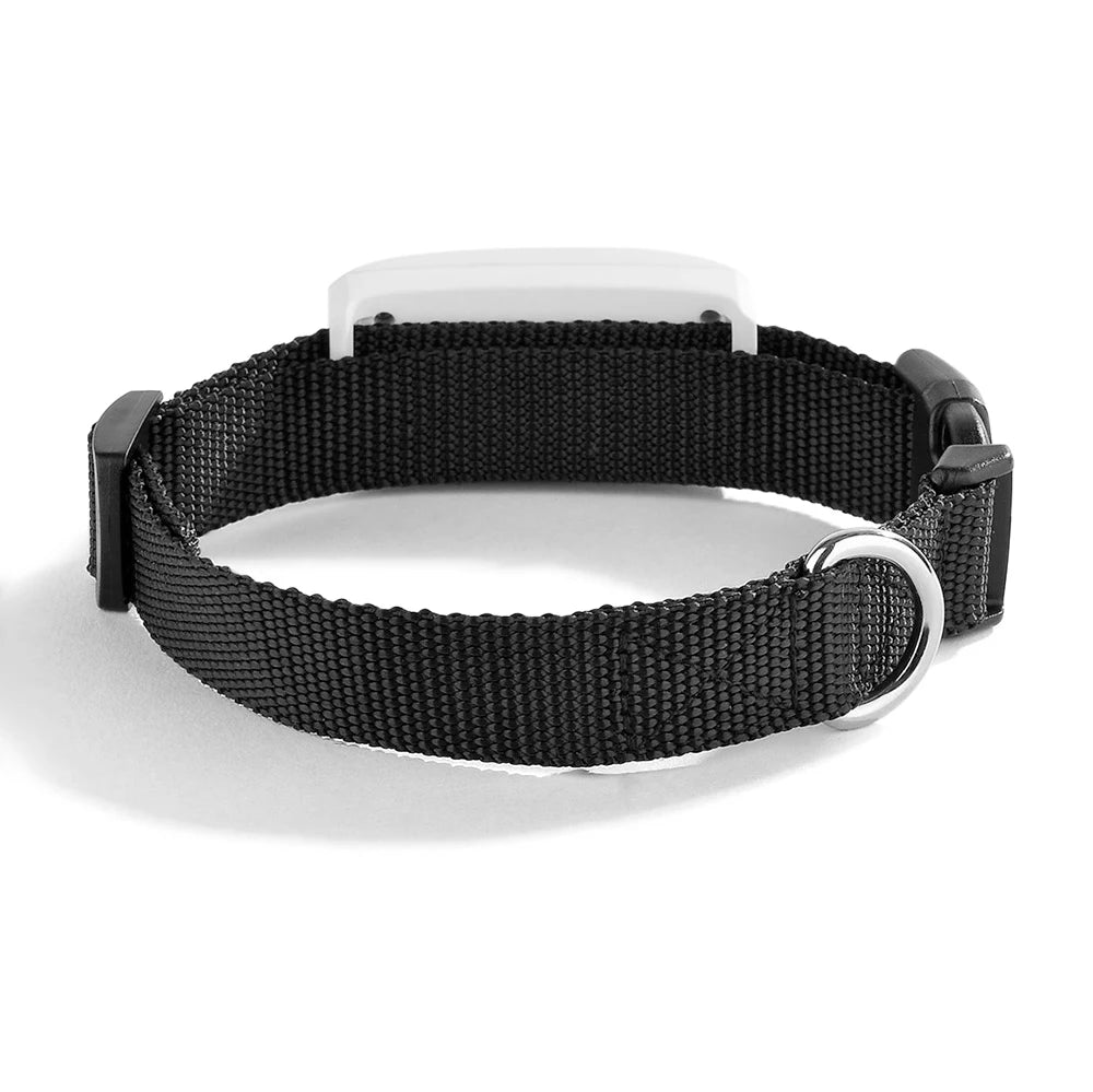 Waterproof GPS Dog and Cat Tracker – Real-Time Location with Geo-Fencing Alerts, Lightweight Mini Pet Tracker for Dogs and Cats 2