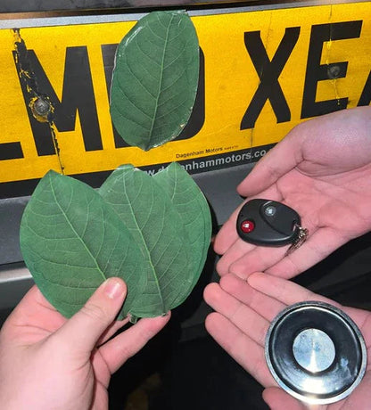 Colorful Leaf Shaped Fridge Magnet