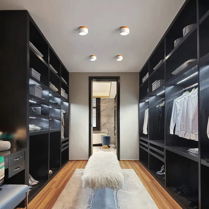 Bright Modern LED Ceiling Lamp for Home