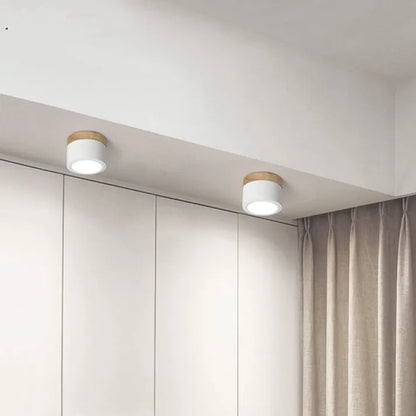 Bright Modern LED Ceiling Lamp for Home