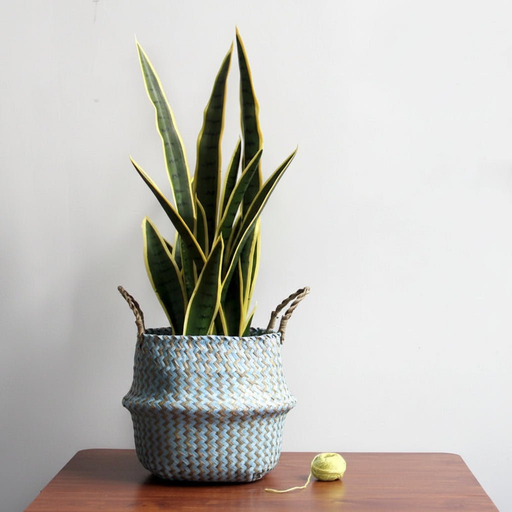 WillowBreeze | Stylish Natural Boho Foldable Plant Basket for Home Décor 1