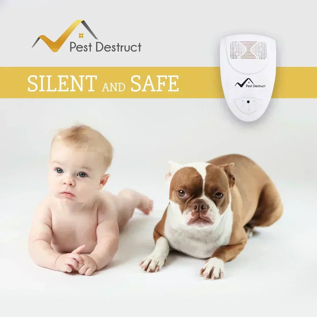 Effective Electronic Bed Bug Repeller For Home