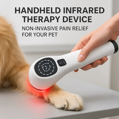Portable Pet Laser for Dog Pain Relief Therapy