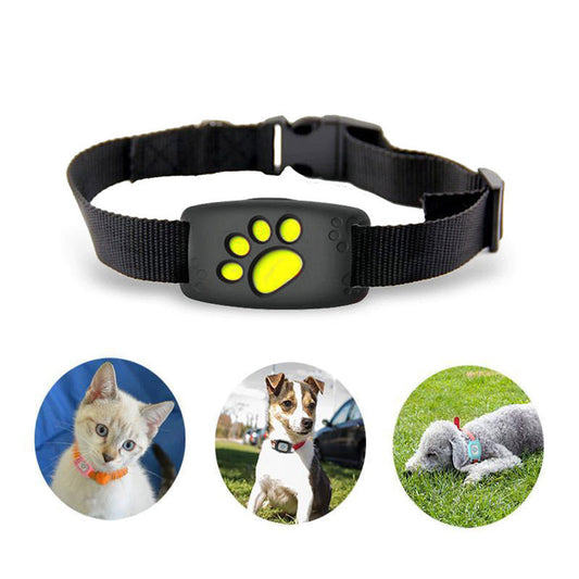 Advanced Cat GPS Tracker Collar With Live Location - Lusomart