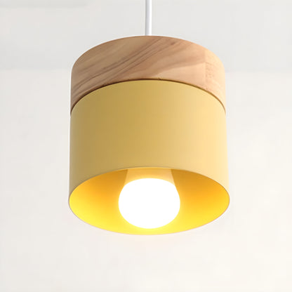 Industrial Chic Macaron Drop Light