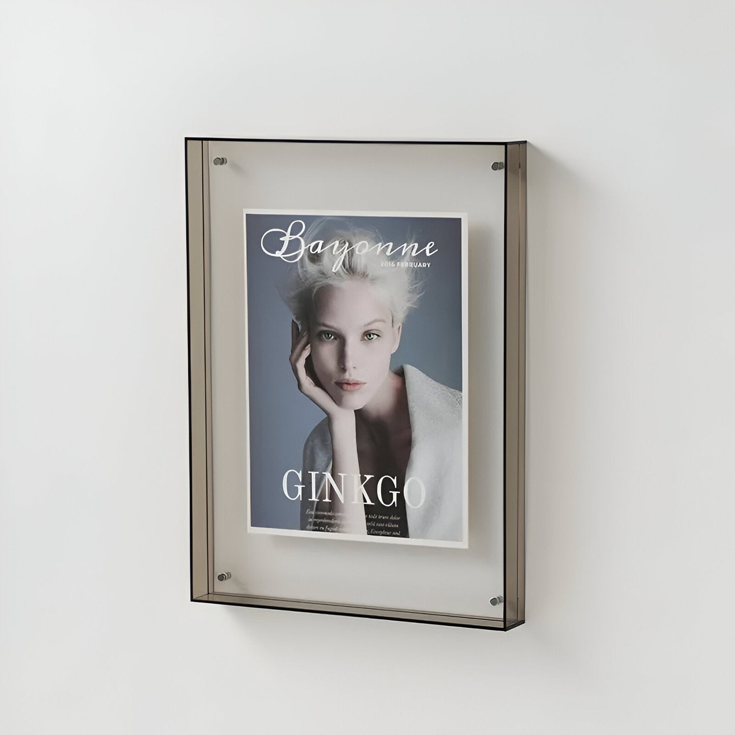 Stylish Picture Frame – Glass Wall Display