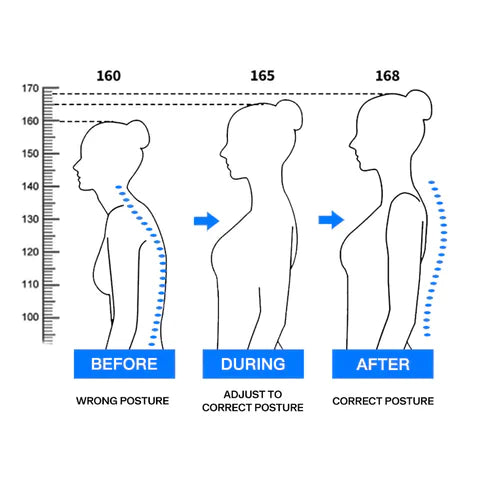Comfortable Back Support Adjustable Belt