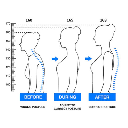 Comfortable Back Support Adjustable Belt