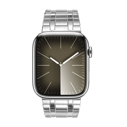 Clear Stainless Steel Apple Watch Magnetic Band