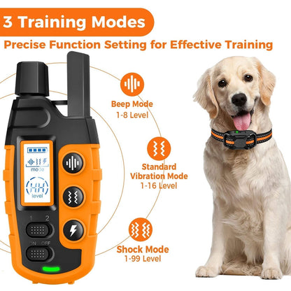 Waterproof Remote Control Dog Training Collar Outdoor
