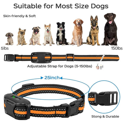 Waterproof Remote Control Dog Training Collar Outdoor