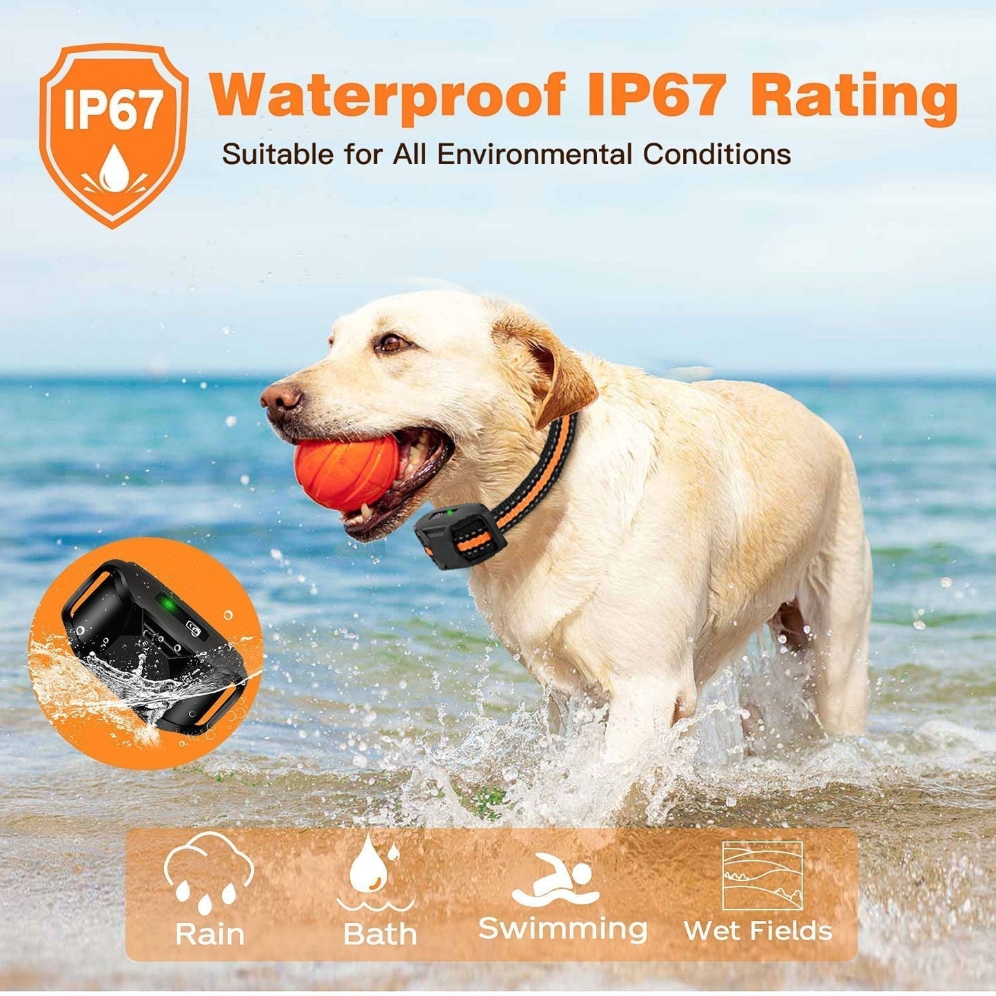 Waterproof Remote Control Dog Training Collar Outdoor