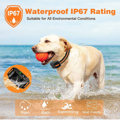 Waterproof Remote Control Dog Training Collar Outdoor