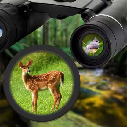 Compact 40x22 HD Binoculars for Bird Watching