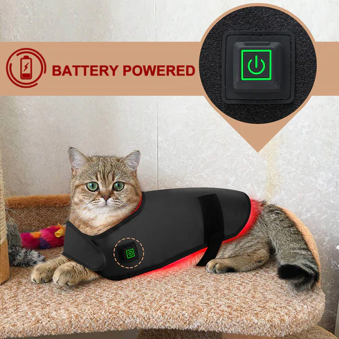 Heated Pet Therapy Wrap for Pain Relief and Comfort