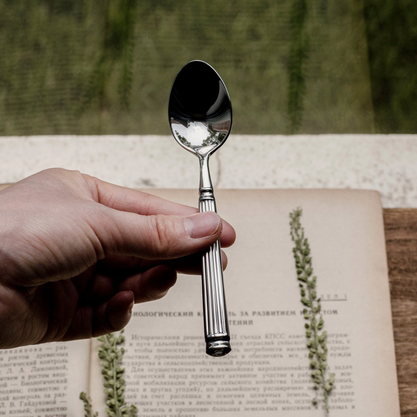 Elegant Classic Silverware Set