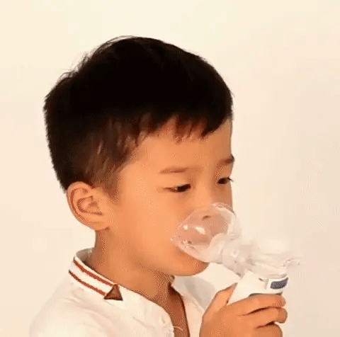 Compact Rechargeable Handheld Nebulizer