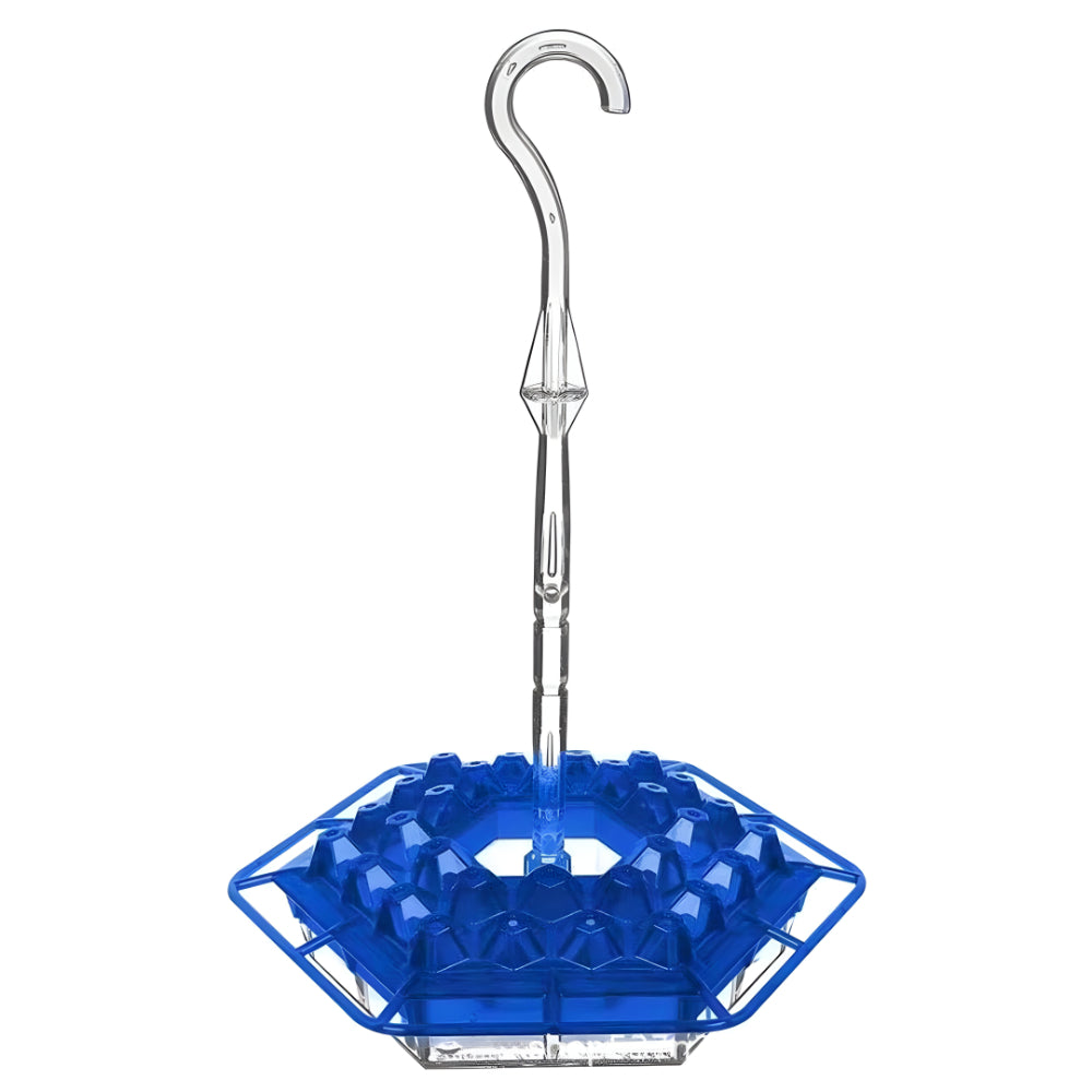 Colorful Bird Feeder Hanging Nectar Station