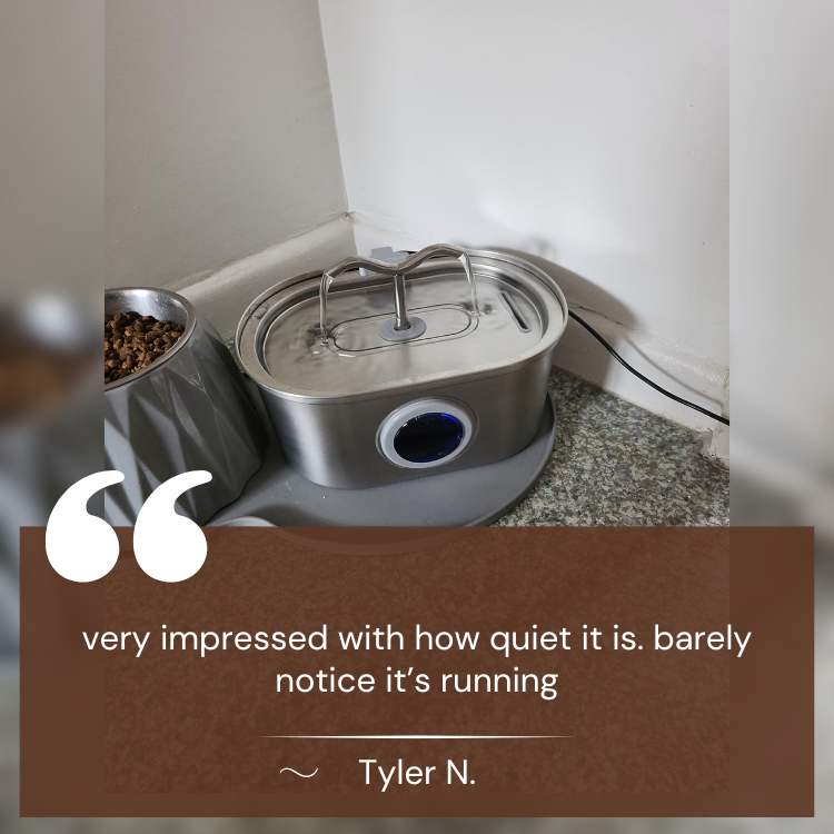 QuietFlow Automatic Pet Water Fountain For Cats Dogs