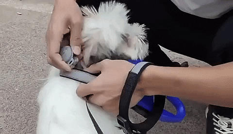 Advanced Pet GPS Tracker And Activity Monitor
