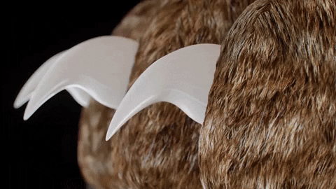 Easy Clip Pet Nail Trimmers with Quick Sensors