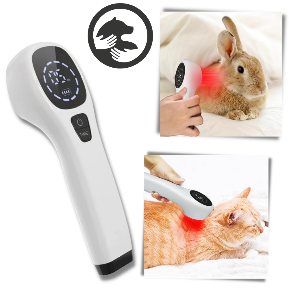 Portable Pet Laser for Dog Pain Relief Therapy