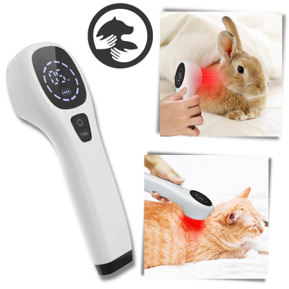 Portable Pet Laser for Dog Pain Relief Therapy