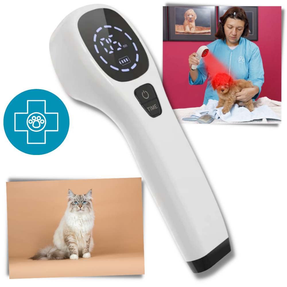 Portable Pet Laser for Dog Pain Relief Therapy