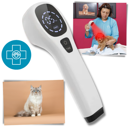 Portable Pet Laser for Dog Pain Relief Therapy