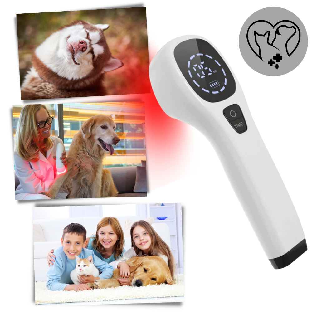 Portable Pet Laser for Dog Pain Relief Therapy - Lusomart