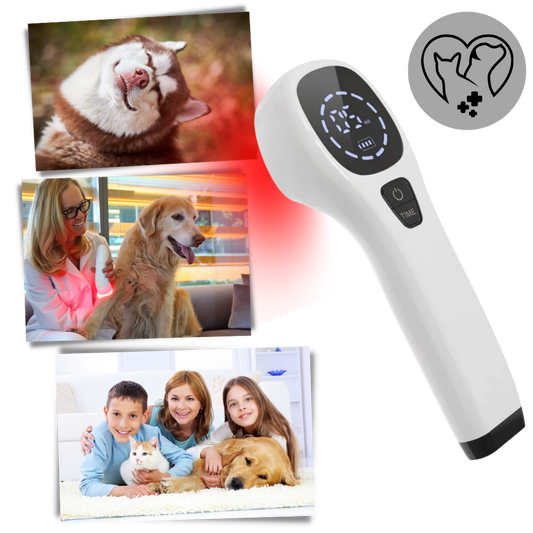Portable Pet Laser for Dog Pain Relief Therapy - Lusomart
