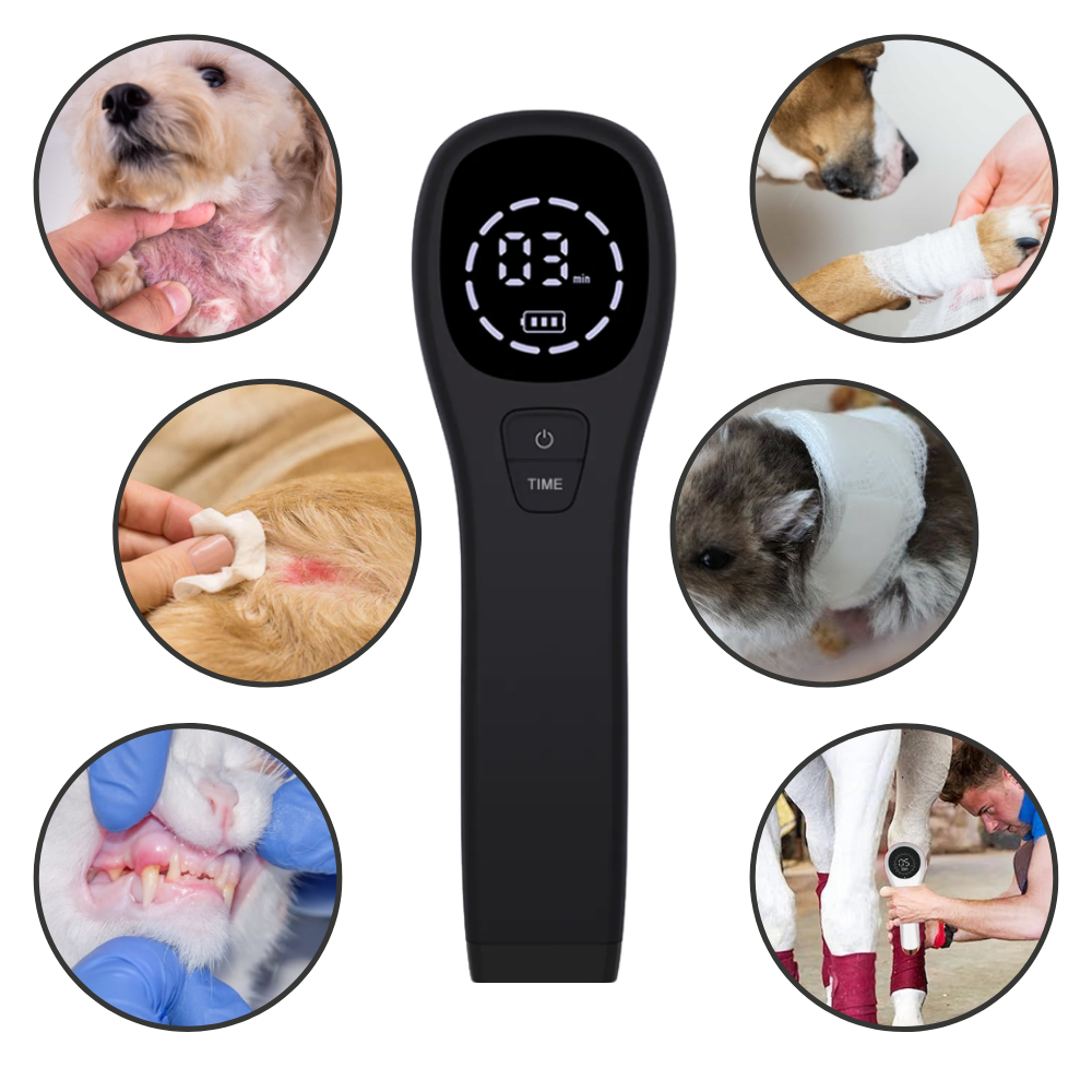 Portable Pet Laser for Dog Pain Relief Therapy