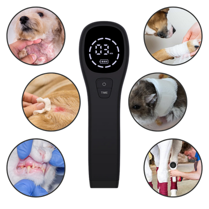 Portable Pet Laser for Dog Pain Relief Therapy