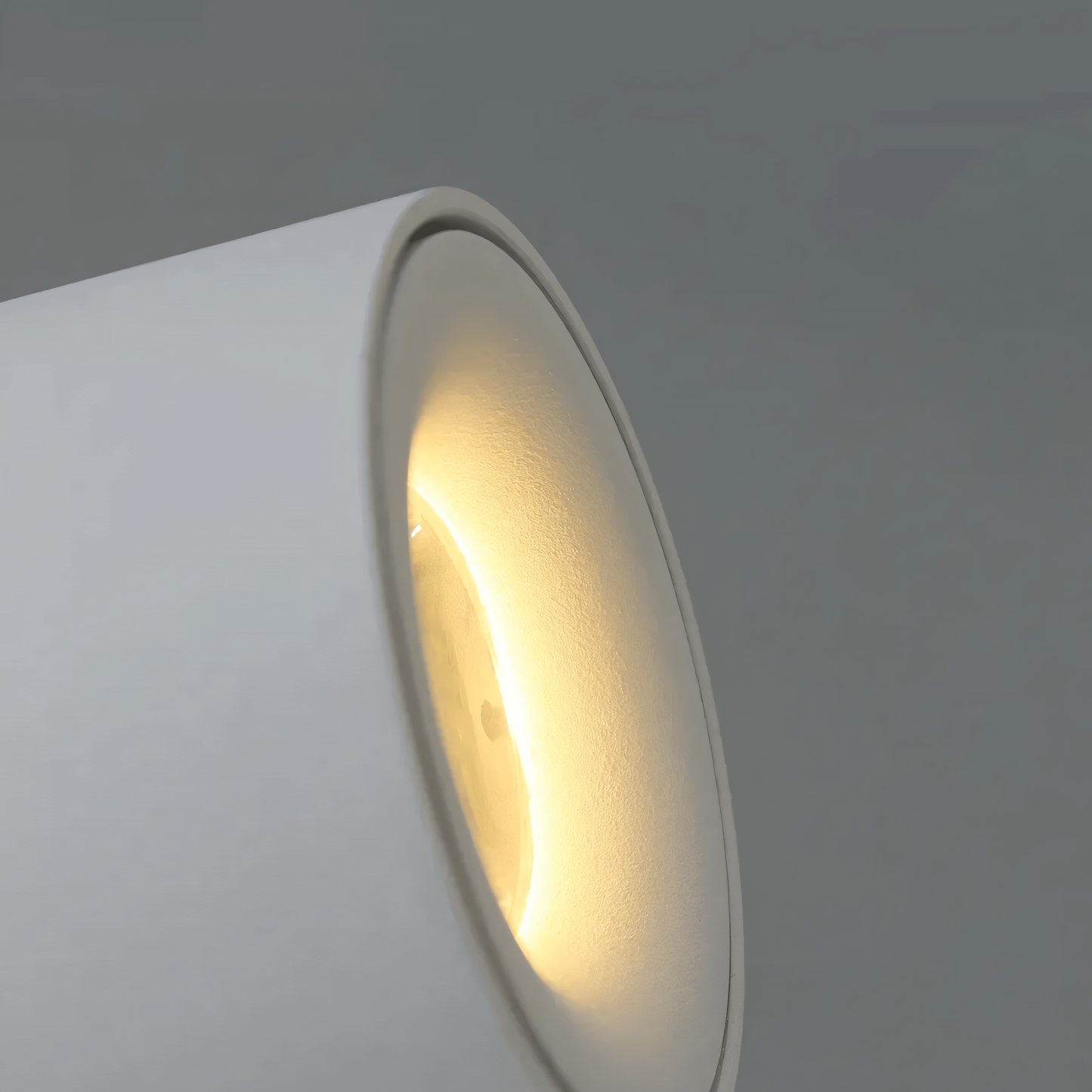 Sleek Adjustable Wall Light