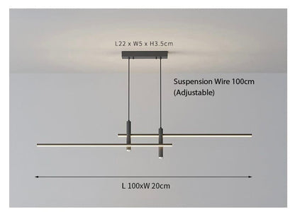 Dual Pendant Ceiling Light Fixture