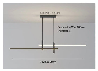 Dual Pendant Ceiling Light Fixture