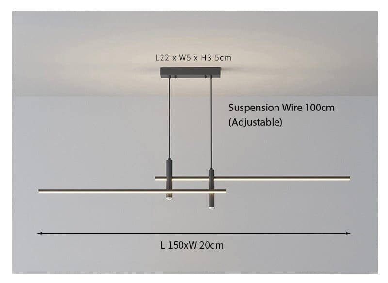 Dual Pendant Ceiling Light Fixture