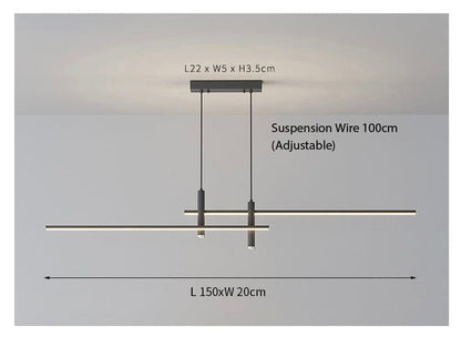 Dual Pendant Ceiling Light Fixture