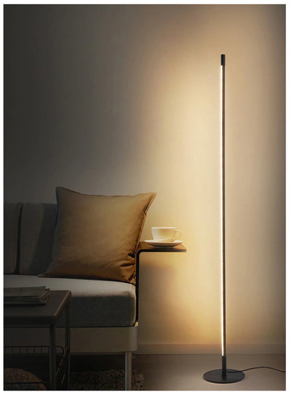 Slim Modern Floor Lamp with LED Lighting