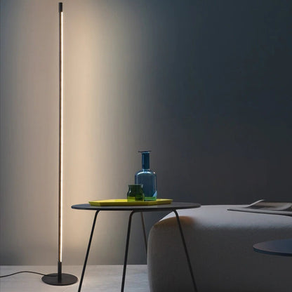 Slim Modern Floor Lamp with LED Lighting