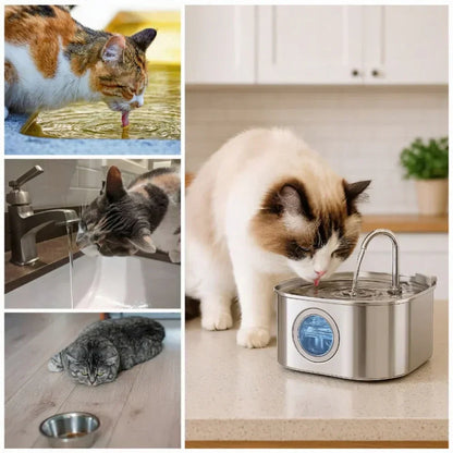 Quiet Pet Water Fountain With Easy Cleaning System