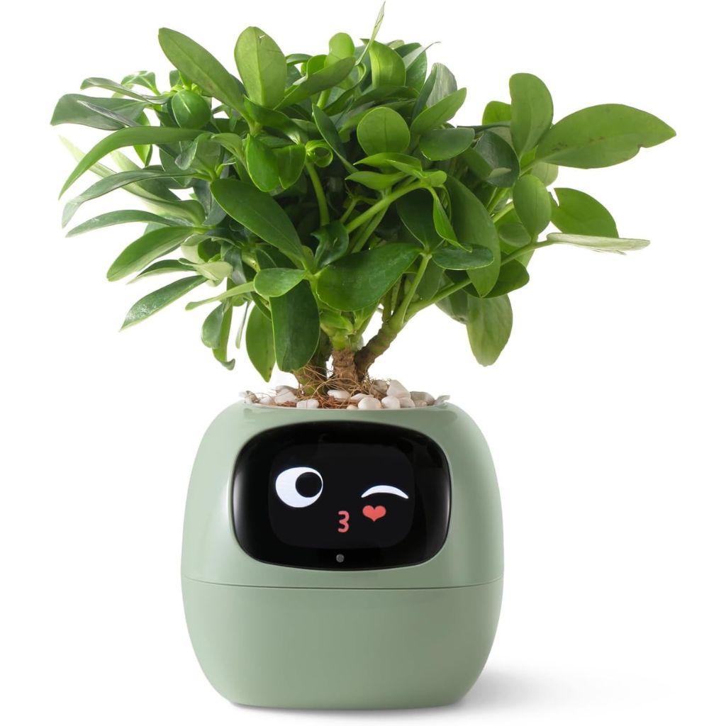 Intelligent WiFi Planter with Alexa Control