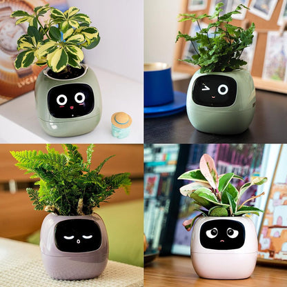 Smart WiFi Planter with 70 LED Animations