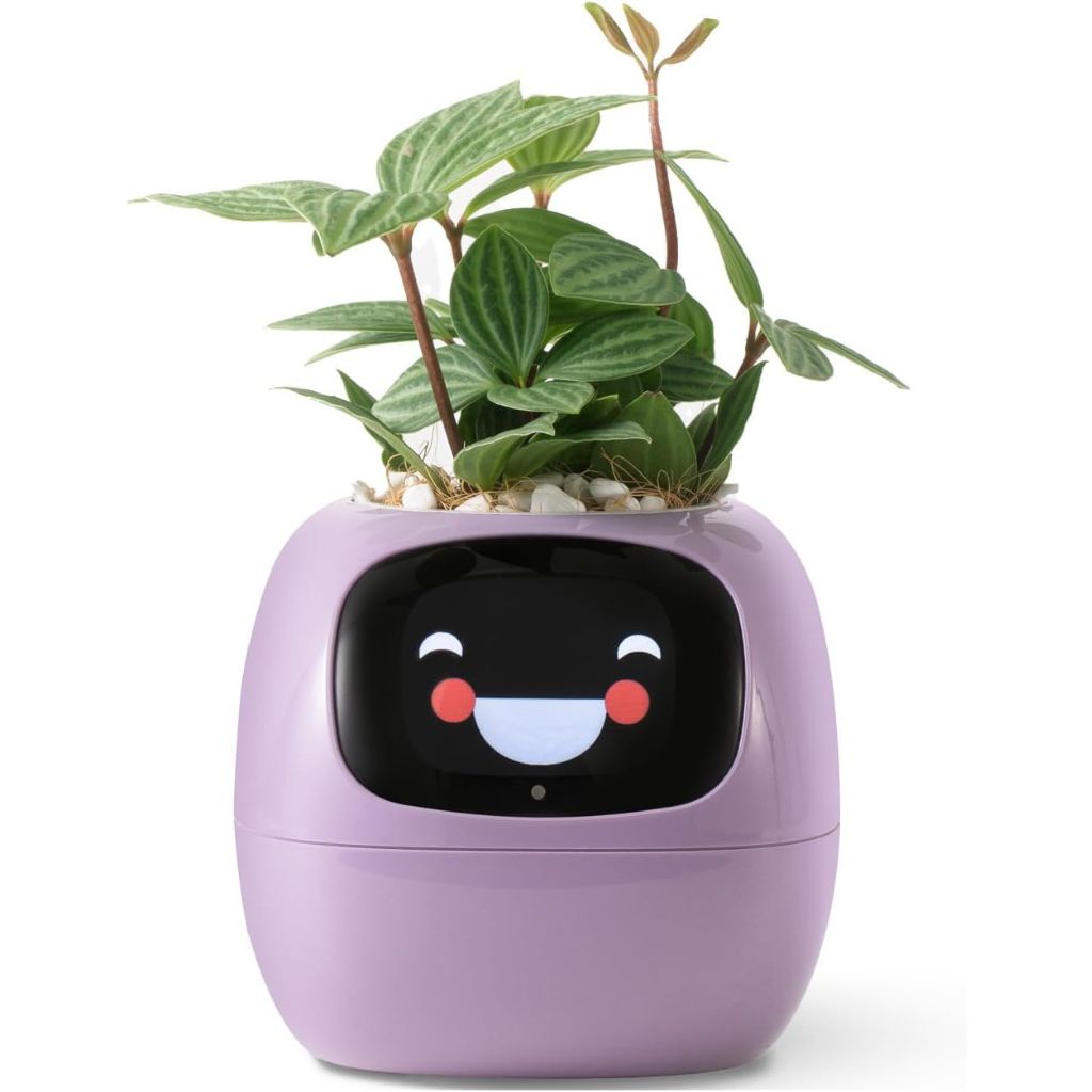 Intelligent WiFi Planter with Alexa Control