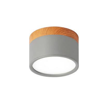 Bright Modern LED Ceiling Lamp for Home
