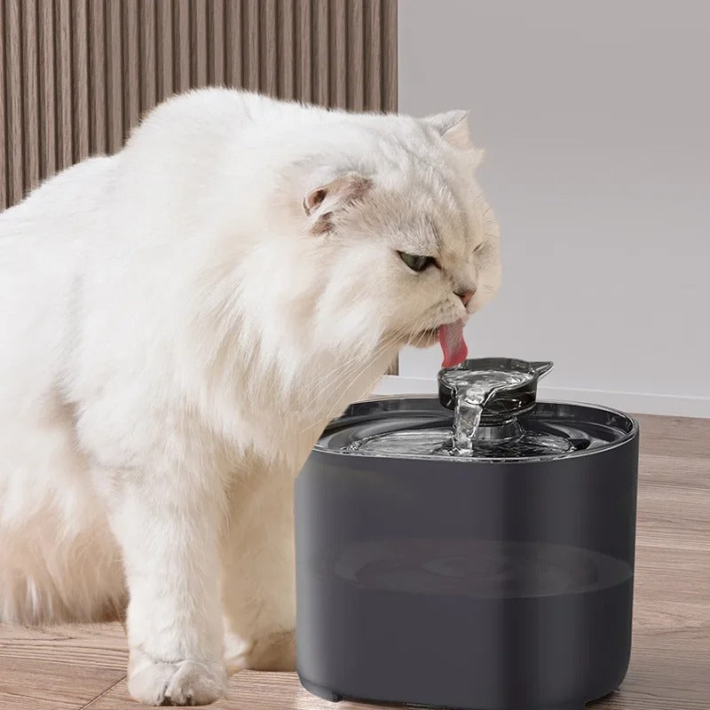 Pet Fountain with Automatic Flow and Advanced Filter System - Lusomart