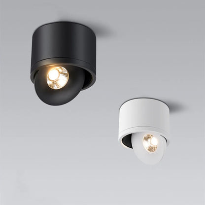 Flexible LED Ceiling Spot Light With Adjustable Arm
